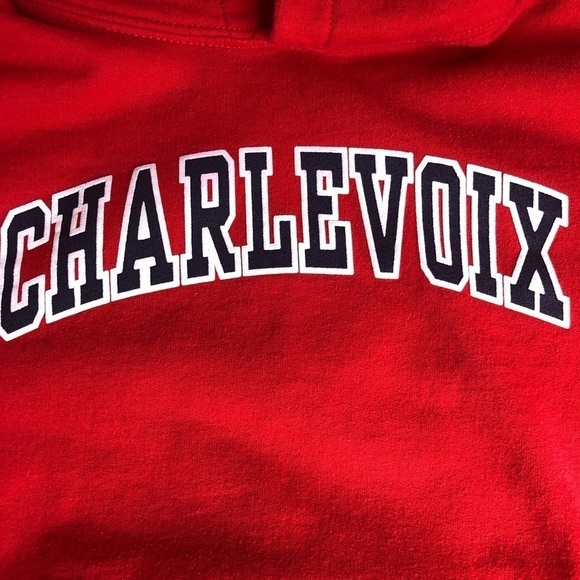 Gildan "Charlevoix" Hoodie - Youth Size Large - Picture 3 of 9